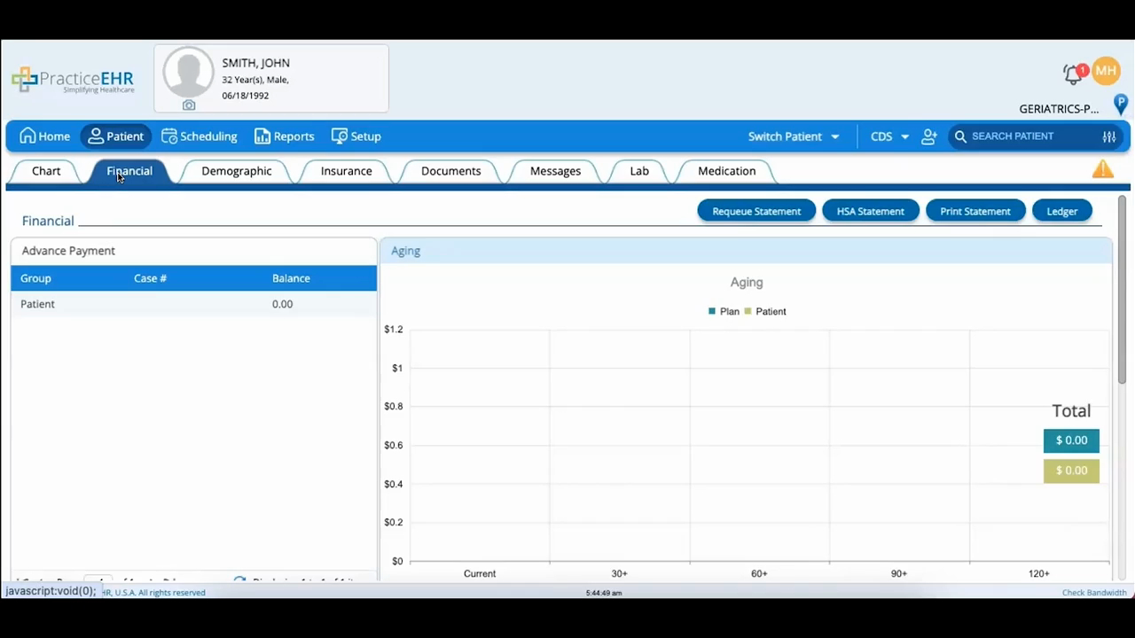 Patient - Financial Statements