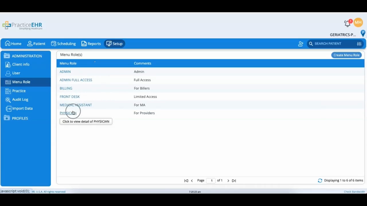Setup - Menu Role, Practice & Audit Log